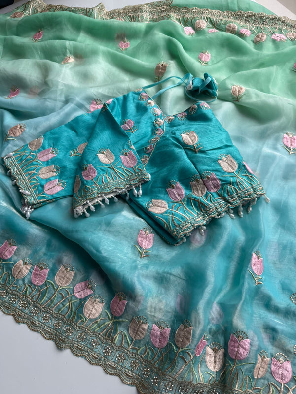Duel shade classy Embroidery work saree with stitched Blouse