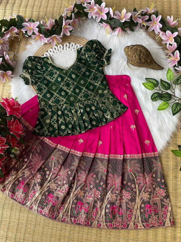 Nilon dola Lehenga with shimmer dola Blouse
